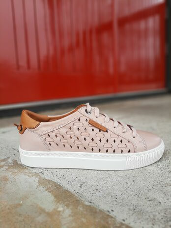Carmela-Santiago Lace Sneaker-Nude Pink-Grey Taupe - the